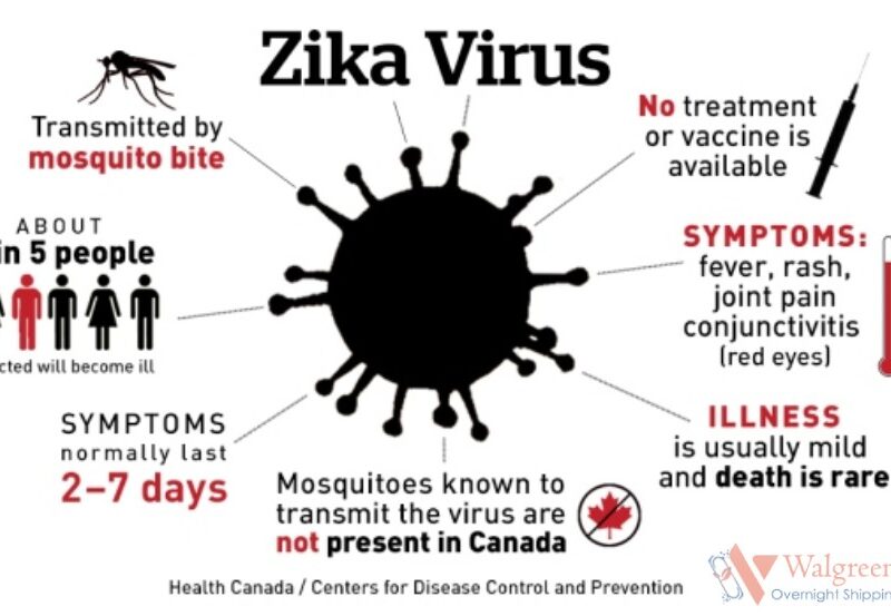 Zika Virus: Symptoms and Treatment